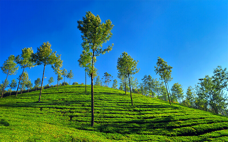 Hill Station Near Rameshwaram