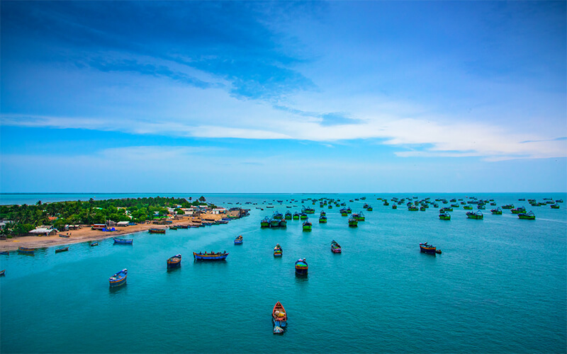 Krusadai Island Rameshwaram