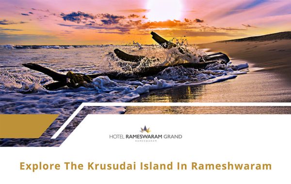 Krusadai Island in Rameshwaram