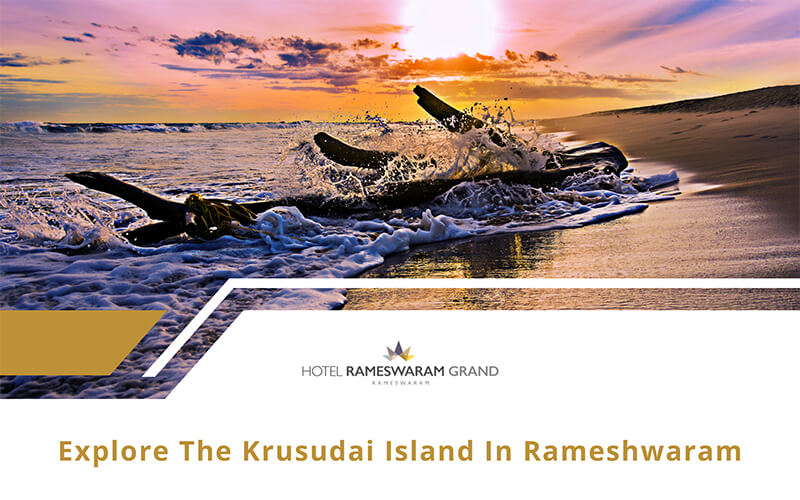 Krusadai Island in Rameshwaram