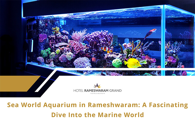Sea World Aquarium Rameshwaram