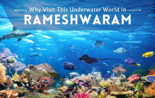 Underwater World in Rameswaram